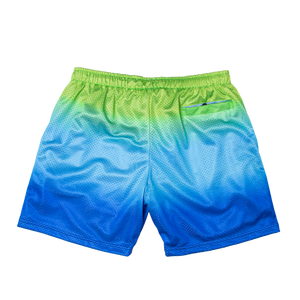 Heart Gradient Mesh Shorts