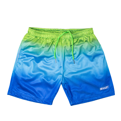 Heart Gradient Mesh Shorts